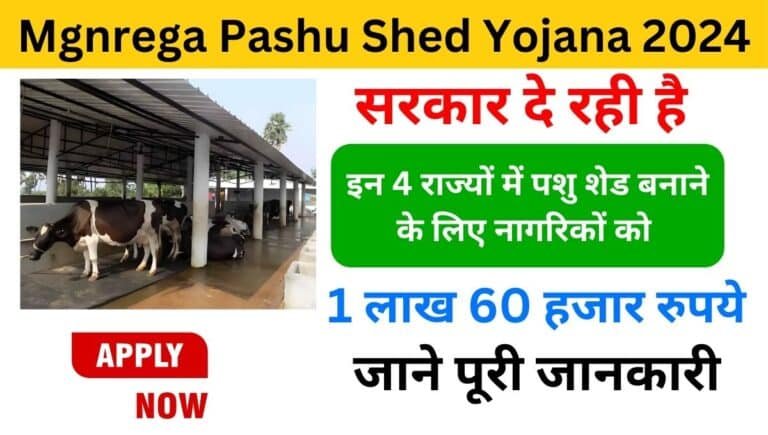 Mgnrega Pashu Shed Yojana 2024