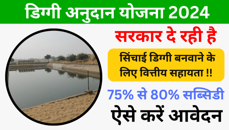 Rajasthan Diggi Anudan Yojana 2024