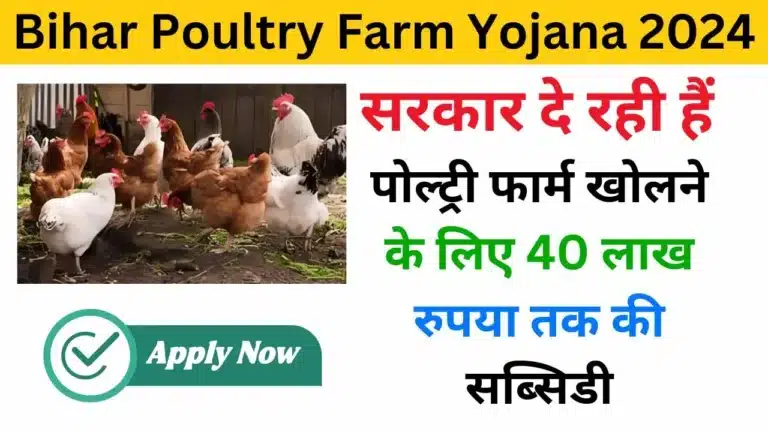 Bihar Poultry Farm Yojana 2024 - Haryanagovt.com