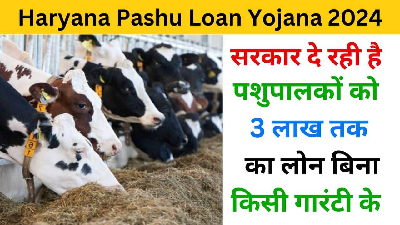 Haryana Pashu Loan Yojana 2024 haryanagovt.com