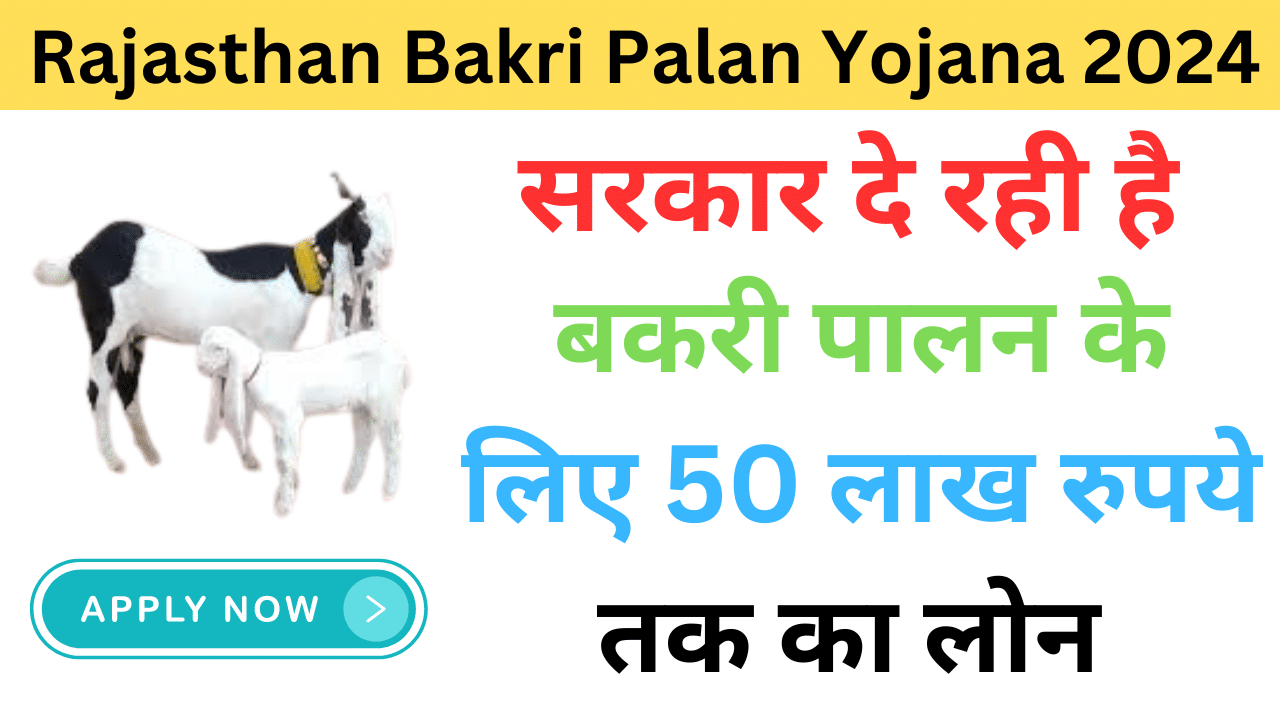 Rajasthan Bakri Palan Yojana 2024