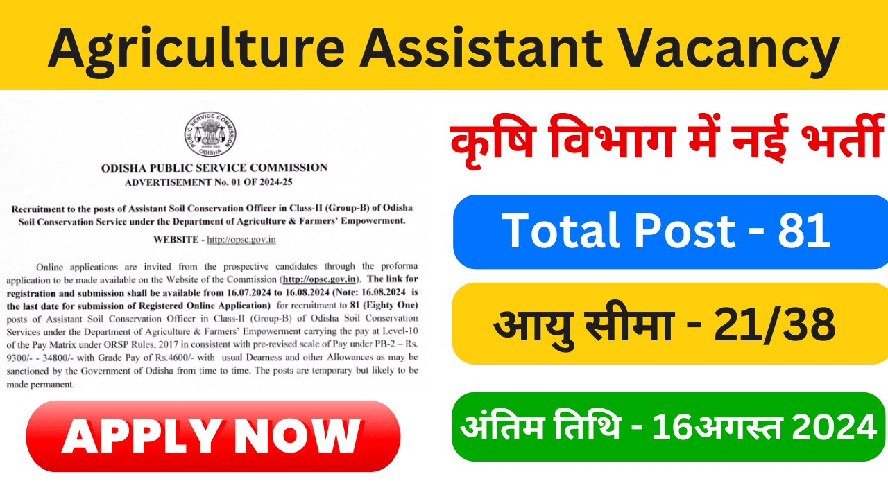 Agriculture Assistant Vacancy 2024