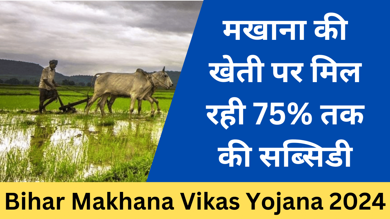 Bihar Makhana Vikas Yojana 2024 - Haryana Govt